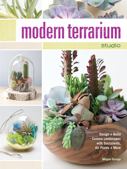 Cover image for Modern Terrarium Studio
